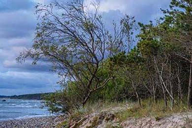今日新開夢幻西游網站