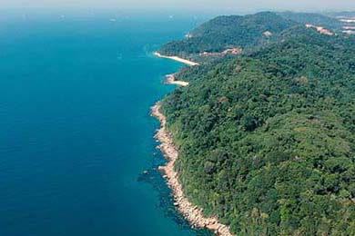 ??夢幻西游網頁版超全攻略！萌新必看，秒變大神不是夢?